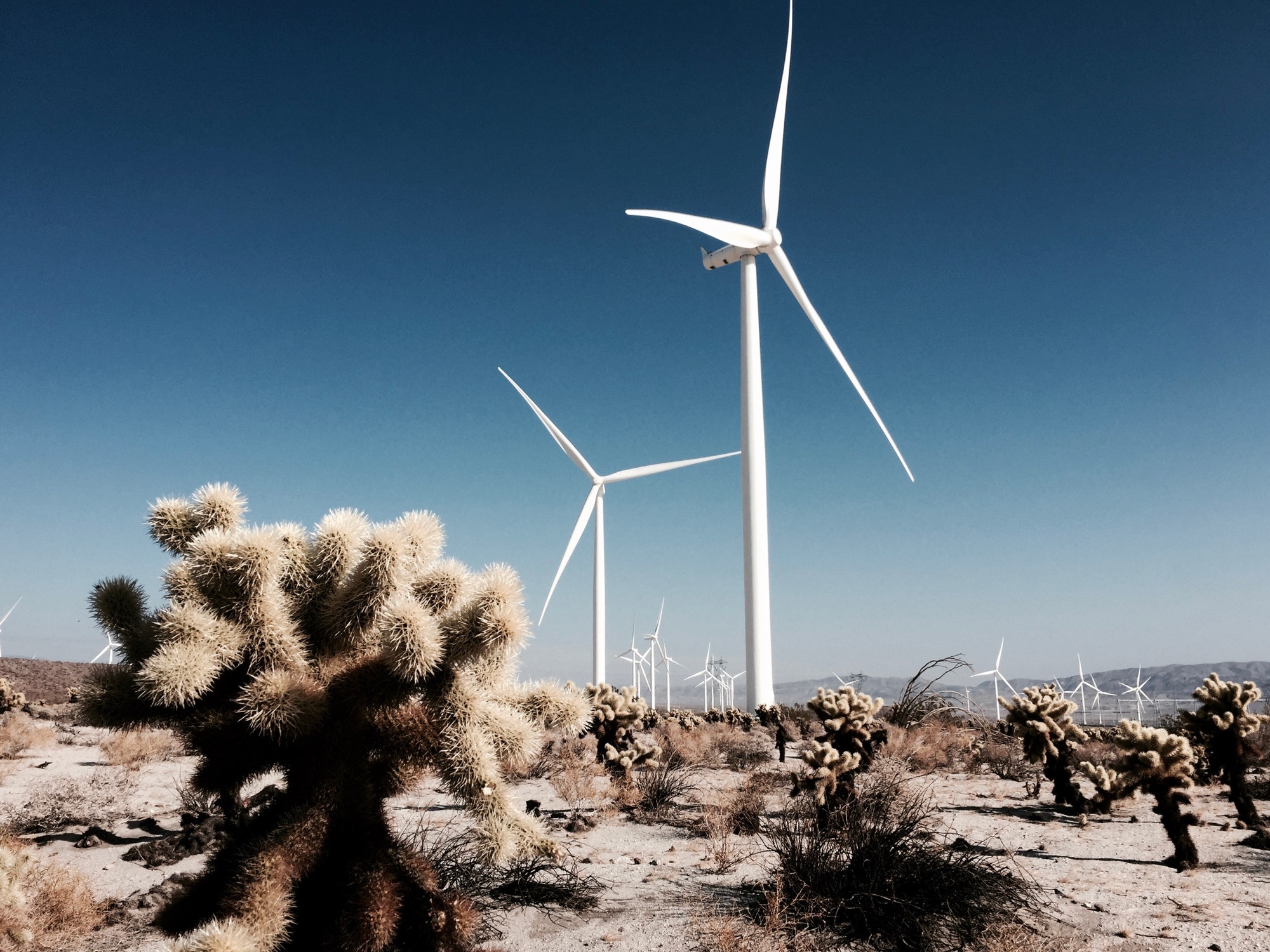Clean wind energy at work in the California dessert.